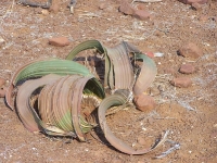100_3260.JPG