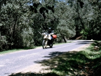 ma2003dia019.jpg