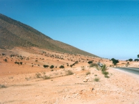 marokko28