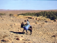 marokko34