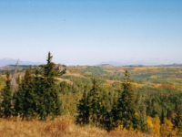 panorama-17.jpg