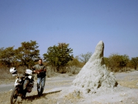 termieten