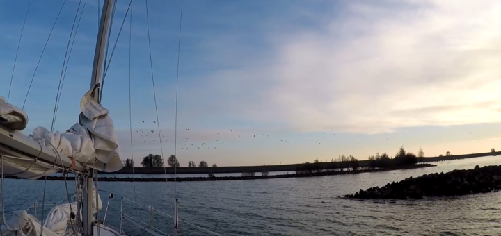 Aannkomst Vluchthaven Oostvaardersdijk